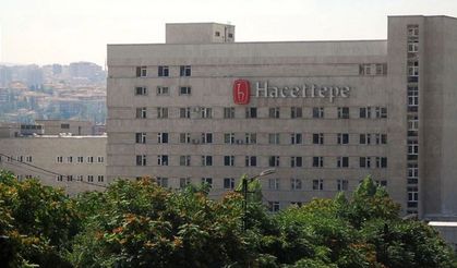 Hacettepe Üniversitesi 68 Öğretim Üyesi Alacak: Son Başvuru 3 Haziran