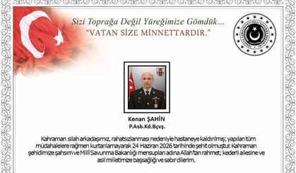 MSB Duyurdu: Fırat Kalkanı Harekat Bölgesi'nde 1 Askerimiz Şehit Oldu