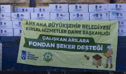 Ankara’da Arıcılara Yüzde 75 Hibe ile 80 Ton Arı Yemi Dağıtımı Sürüyor