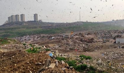 Çevreye Zarar Veren 222 İşletmenin Faaliyeti Durduruldu