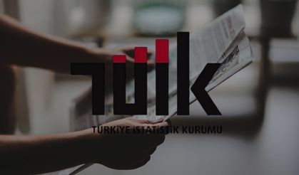 TÜİK Verilerine Göre Resmi İlanlı Gazete Sayısı Azaldı