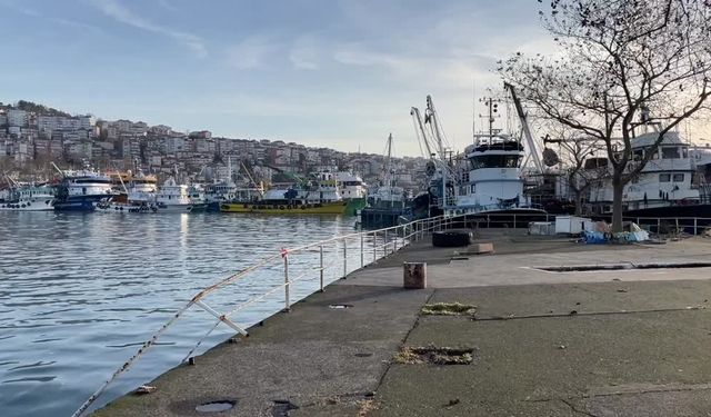Düzce ve Zonguldak'ta Fırtına Sonrası Hamsi Bolluğu