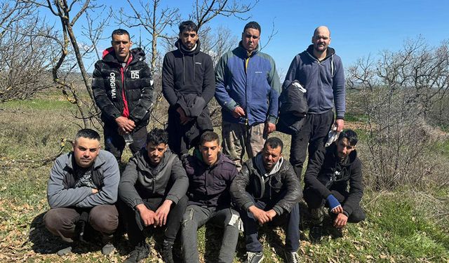 Edirne'de, 9 Kaçak Göçmen ve 1 Organizatör Yakalandı