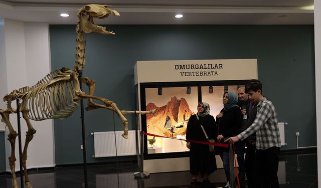 Sivas’taki Tabiat Müzesi Ziyaretçilerin İlgisini Çekiyor