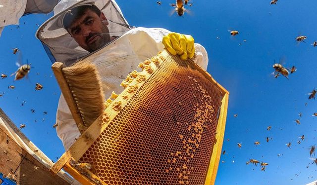 Kalecik Belediyesi’nden Arıcılık Eğitimi Duyurusu