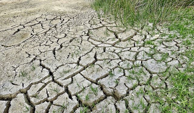 IPCC Başkanı: 2024'te 1.5 Dereceyi Geçebiliriz