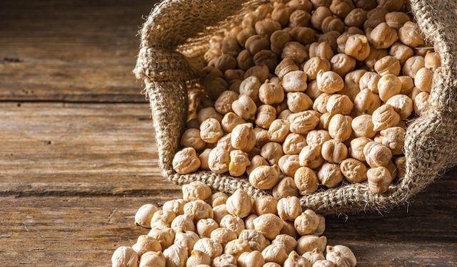 Akyurt'ta Çiftçilere Yüzde 50 Hibeli Nohut Tohumu Desteği