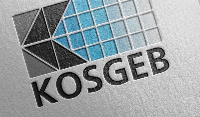 Lisans Satın Alınacaktır Küçük ve Orta Ölçekli İşletmeleri Geliştirme ve Destekleme İdaresi Başkanlığı