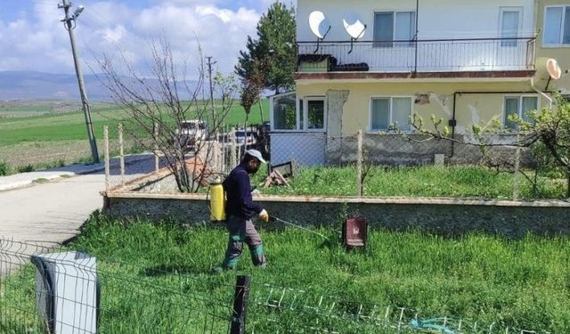 Güdül'de Haşerelere Karşı Harekete Geçildi: İlçe İlaçlanıyor