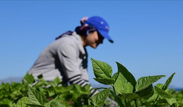 Kırsal Kalkınma Desteği Başvurularında Son Gün: 21 Nisan