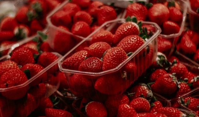 Kızılcahamam'da Çilek Üreticilerinin Yüzü Güldü