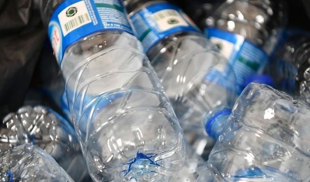 Mamak’tan Doğayı Koruma Adımı: Pet Şişeler Meyve Ağaçlarına Dönüşüyor