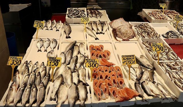Trabzon'da Mezgit ve İstavrit 250 Liradan Alıcı Buluyor