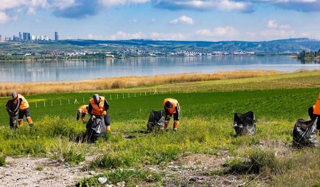 Gölbaşı’nda Kuşların Yumurtlama Alanları Temizleniyor: Ekipler Sahada
