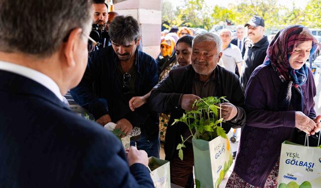 Gölbaşı’nda Ücretsiz Domates, Biber ve Patlıcan Fidesi