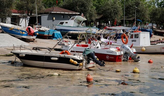 İzmit Körfezi'nde Köpük Alarmı: Temizlik Başladı