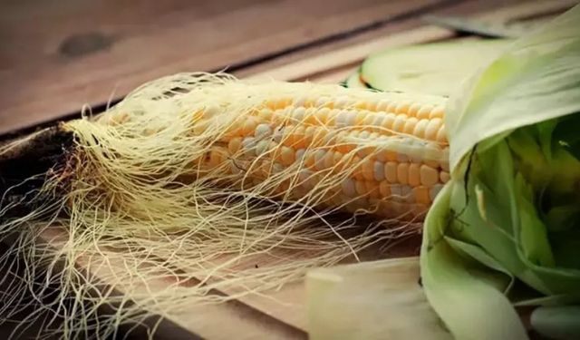 Mısır Püskülü Çayı Faydaları Nelerdir?