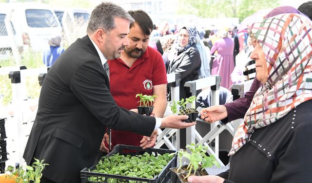 Pursaklar’da Yerli Tohuma Büyük Destek