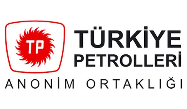 1100000340 Temelli Karot ve Arşiv Binası İnşaat Aşaması (Yapım İşi Kontrollüğü) Danışmanlık Hizmet Alımı İşi