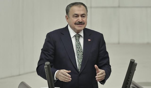 Veysel Eroğlu, Irak Özel Temsilcisi Olarak Görevlendirildi