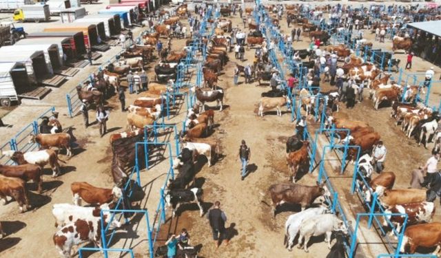 Altındağ’da Kurban Kesim Noktaları Belirlendi