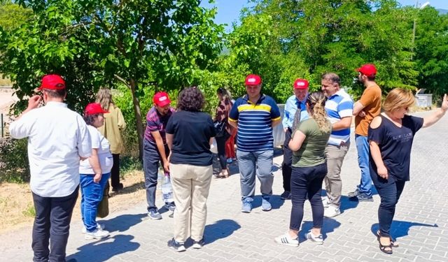 Nallıhan’da Sahipsiz Canlar Unutulmadı: Mama ve Su Bırakıldı