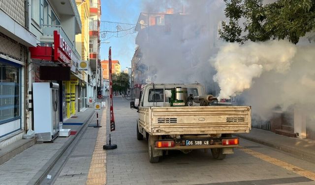 Şereflikoçhisar’da İlaçlama Seferberliği Başladı