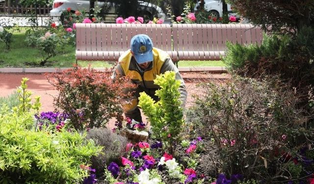 Keçiören’de Peyzaj Çalışmalarına Hız Verildi: Parklar Renkleniyor