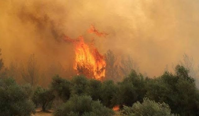 Manisa’da İki Ayrı Yangın, İki Gözaltı!