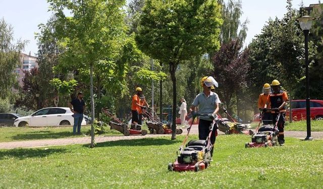 Çankaya’daki Parklarda Temizlik Çalışması: Otlar ve Çimler Biçiliyor