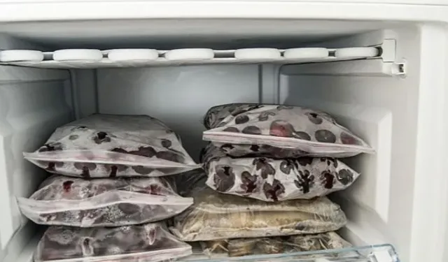Derin Dondurucu Kokusu Nasıl Giderilir? En Etkili Yöntemler