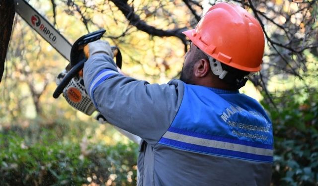 Mamak Belediyesi’nden Ağaç Budama Seferberliği