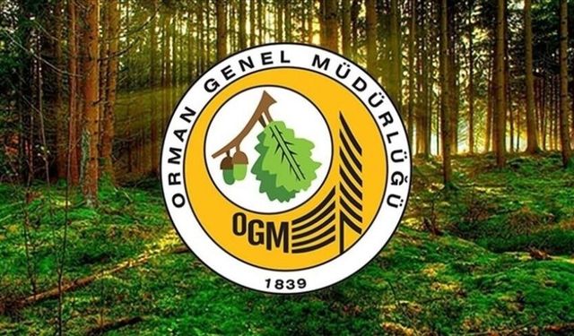 Kızılcahamam Orman İşletme Müdürlüğü Danışmanlık Hizmet Alımı