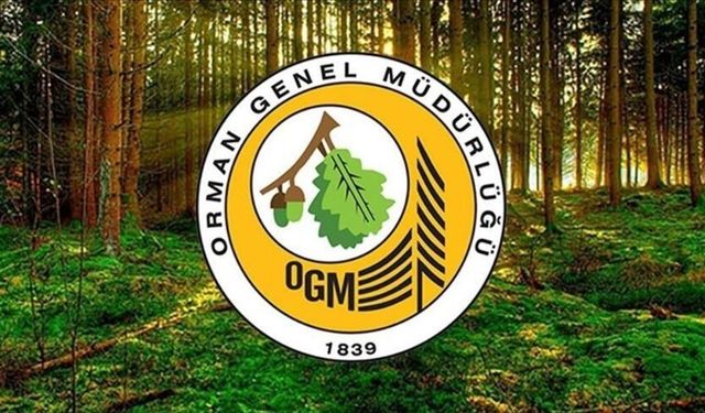 Fidan Üretim ve Bakım Hizmeti Alınacaktır Ankara Orman Bölge Müdürlüğü Ankara Orman Fidanlık Müdürlüğü