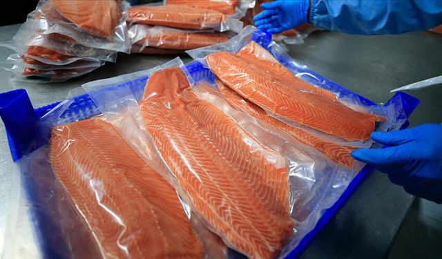 Türk Somonu 18 Ülkede Sofralarda: Rusya Zirvede