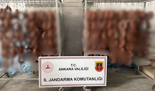 Polatlı'da 9,7 Milyon Liralık Sahte Gıda Operasyonu: 3 Gözaltı