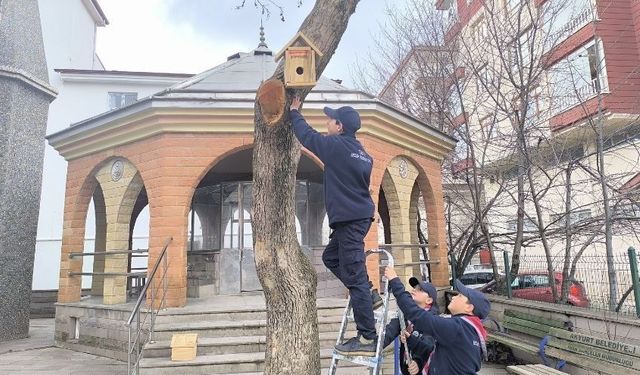 Akyurt'ta Kuşlar için Seferberlik: Yuvalar Ağaçlara Yerleştirildi