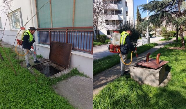 Nallıhan Belediyesi’nden Çayırhan’da İlaçlama Çalışması