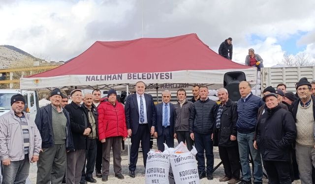 Nallıhan'da Yüzde 50 Hibeli Tohum Desteği Başladı