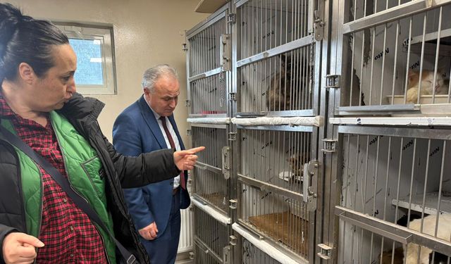 Sincan'da Kötü Şartlarda Tutulan Kedi ve Köpekler Kurtarıldı
