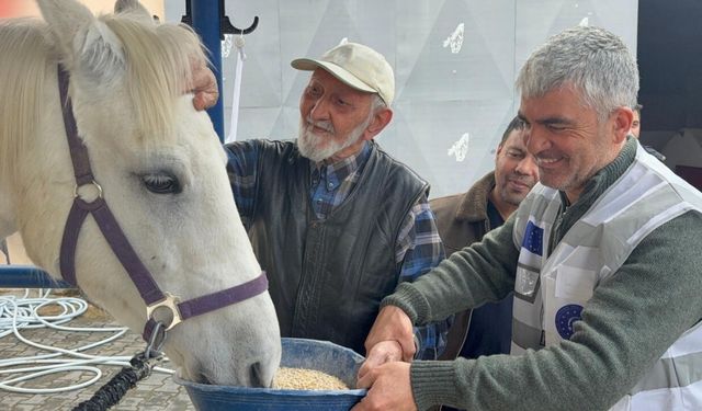 Çubuk’ta Huzurevi Sakinlerine Atlı Terapi Sürprizi
