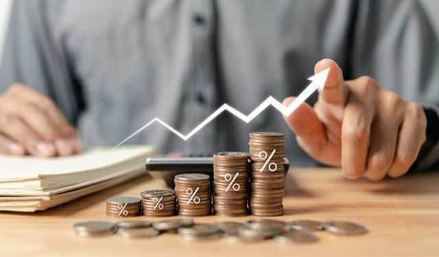 Kredi Risk Primi Nedir? Nasıl Yorumlanır?