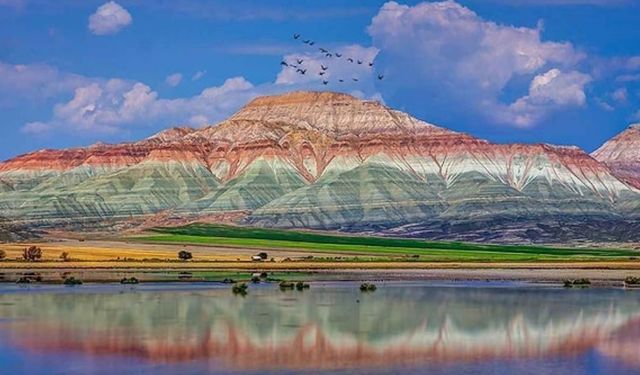 Kuş Gözlemciliğinin Ankara'daki Adresi Nallıhan Kuş Cenneti