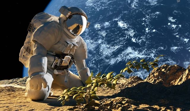 Ay’da Sebze ve Meyve Yetiştirmek Mümkün mü?