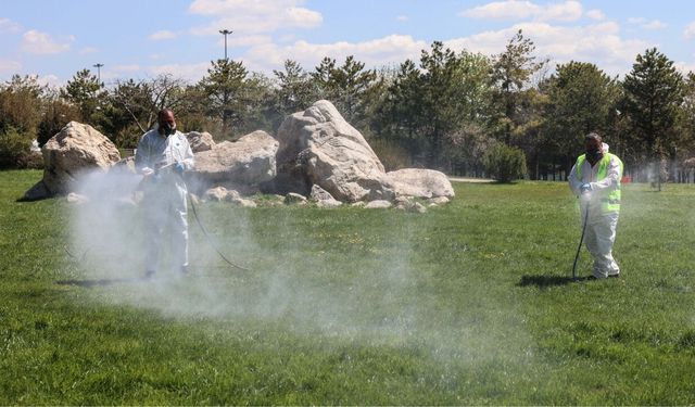Çankaya’da Yüzlerce Noktada İlaçlama Çalışması Sürüyor