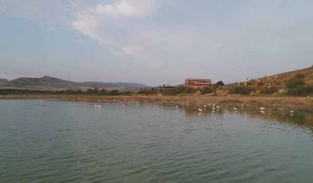 DSİ Nallıhan Çayı için Çevre Islah Projesi Başlattı