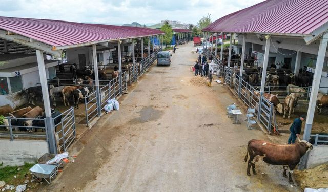Altındağ Kurban Pazarında Sıkı Denetim