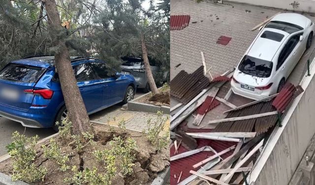 Ankara’da Fırtına ve Rüzgar! Ağaçlar Araçların Üzerine Devrildi