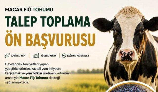 Beypazarı’nda Yüzde 50 Hibeli Macar Fiğ Tohumu Desteği Başlıyor