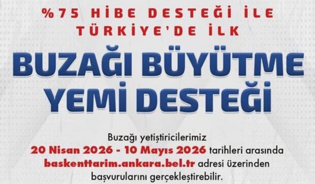 Beypazarı’nda Yüzde 75 Hibeli Buzağı Yemi Desteğinde Son Gün